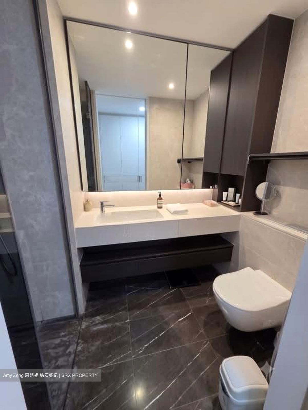 Amber Park (D15), Condominium #581803631